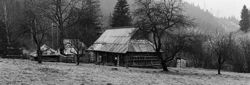 Ukrajina 2008 leden